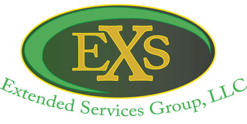 Extended Services Group